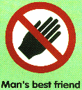 Man's best friend