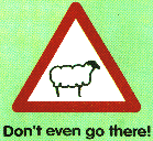 Don't even go there!