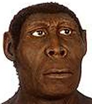 I couldn't find a real picture of Robert Adewunmi, but he probably looks something like this