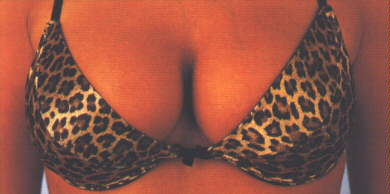 Fine image of a bra with its contents as a motif for the John Money pages