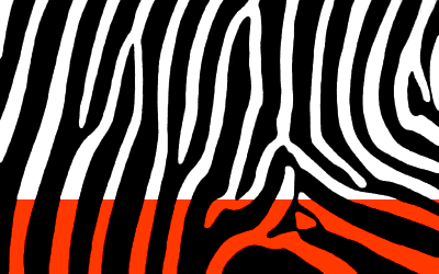Blood-tide rising in a zebra skin