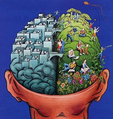 Left-Right-Brain