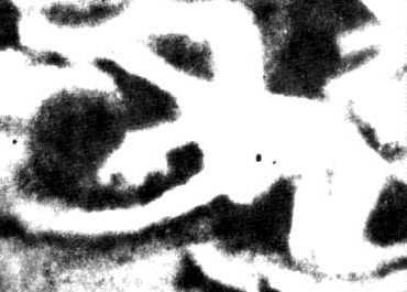 Enlargment of a fake photograph of the output of a gas chamber